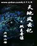 天地风云记之双王奇谋